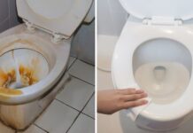 ¿Por qué es importante colocar sal en el inodoro todas las noches? La respuesta te sorprenderá